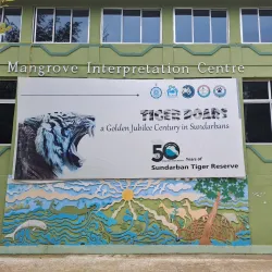 Sundarbans National Park (nearby) - Haldia