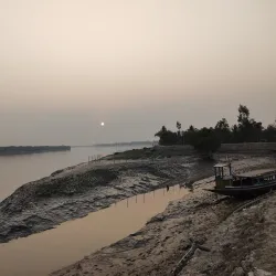 Sundarbans National Park (nearby) - Haldia