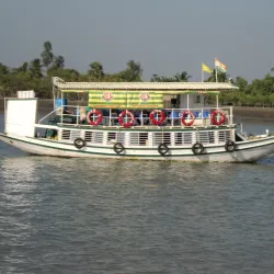 Sundarbans National Park (nearby) - Haldia