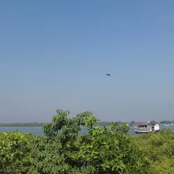 Sundarbans National Park (nearby) - Haldia