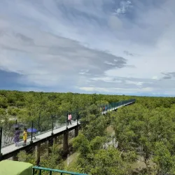 Sundarbans National Park (nearby) - Haldia