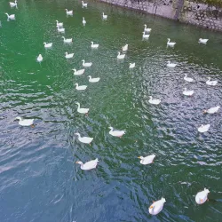 Bhimtal Lake - Haldwani