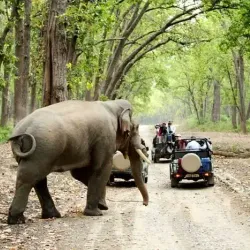 Jim Corbett National Park - Haldwani