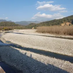 Jim Corbett National Park - Haldwani