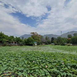 Naukuchiyatal - Haldwani