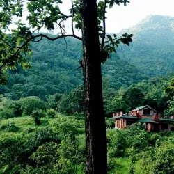 Sitabani Forest Reserve - Haldwani