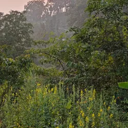 Sitabani Forest Reserve - Haldwani