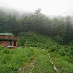 Sitabani Forest Reserve - Haldwani