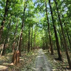 Sitabani Forest Reserve - Haldwani