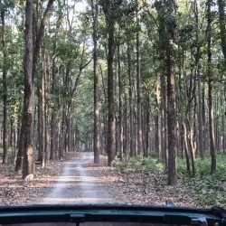 Sitabani Forest Reserve - Haldwani