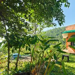 Sitabani Forest Reserve - Haldwani