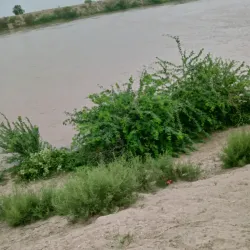 Ghaggar River - Hanumangarh