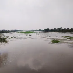 Ghaggar River - Hanumangarh