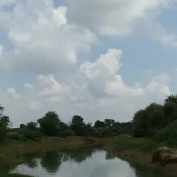 Ghaggar River - Hanumangarh