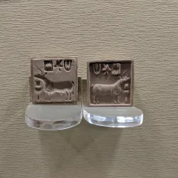 Hanumangarh Museum - Hanumangarh