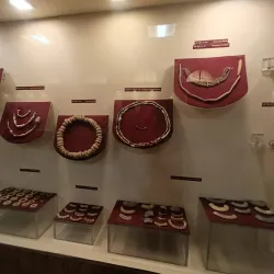 Hanumangarh Museum - Hanumangarh