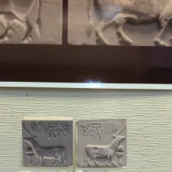 Hanumangarh Museum - Hanumangarh