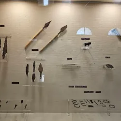 Hanumangarh Museum - Hanumangarh