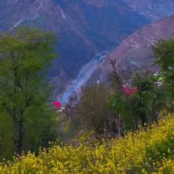 Ravi River - Hanumangarh
