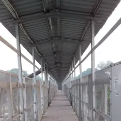 Hapur Railway Station - Hapur