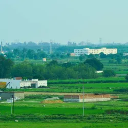 Nearby Agricultural Fields - Hapur