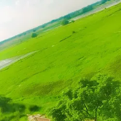 Sarsai Nawar Bird Sanctuary - Hardoi