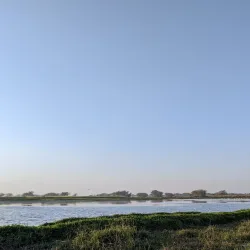 Sarsai Nawar Bird Sanctuary - Hardoi