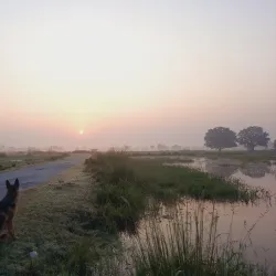 Sarsai Nawar Bird Sanctuary - Hardoi