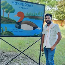 Sarsai Nawar Bird Sanctuary - Hardoi
