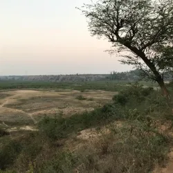 Badkhal Lake - Haryana