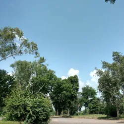 Badkhal Lake - Haryana