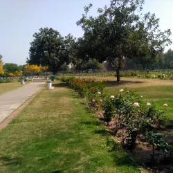 Chandigarh Rose Garden - Haryana