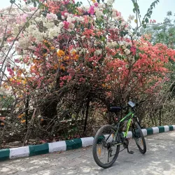 Morni Hills - Haryana