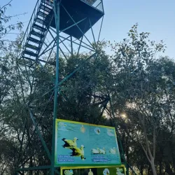 Sultanpur National Park - Haryana