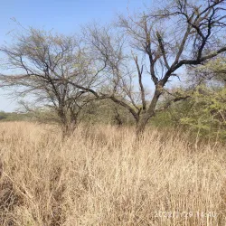 Sultanpur National Park - Haryana