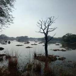 Sultanpur National Park - Haryana