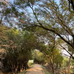 Sultanpur National Park - Haryana