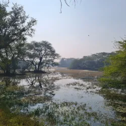 Sultanpur National Park - Haryana