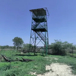 Sultanpur National Park - Haryana