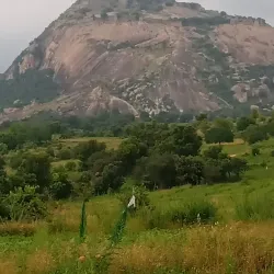 Channarayana Temple - Hassan