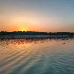 Blue Bird Lake Park - Hisar