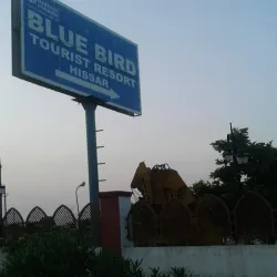 Blue Bird Lake Park - Hisar