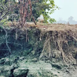 Blue Bird Lake Park - Hisar