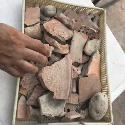 Kanwari Indus Valley Civilization Site - Hisar