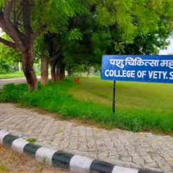 Lala Lajpat Rai Memorial - Hisar