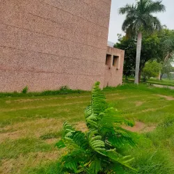 Lala Lajpat Rai Memorial - Hisar