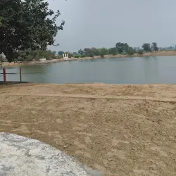 Rakhaldas Bandyopadhyay Archaeological Museum - Hisar