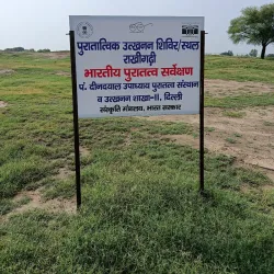 Rakhaldas Bandyopadhyay Archaeological Museum - Hisar