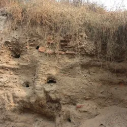 Rakhaldas Bandyopadhyay Archaeological Museum - Hisar