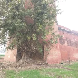 Hoshiarpur Fort - Hoshiarpur